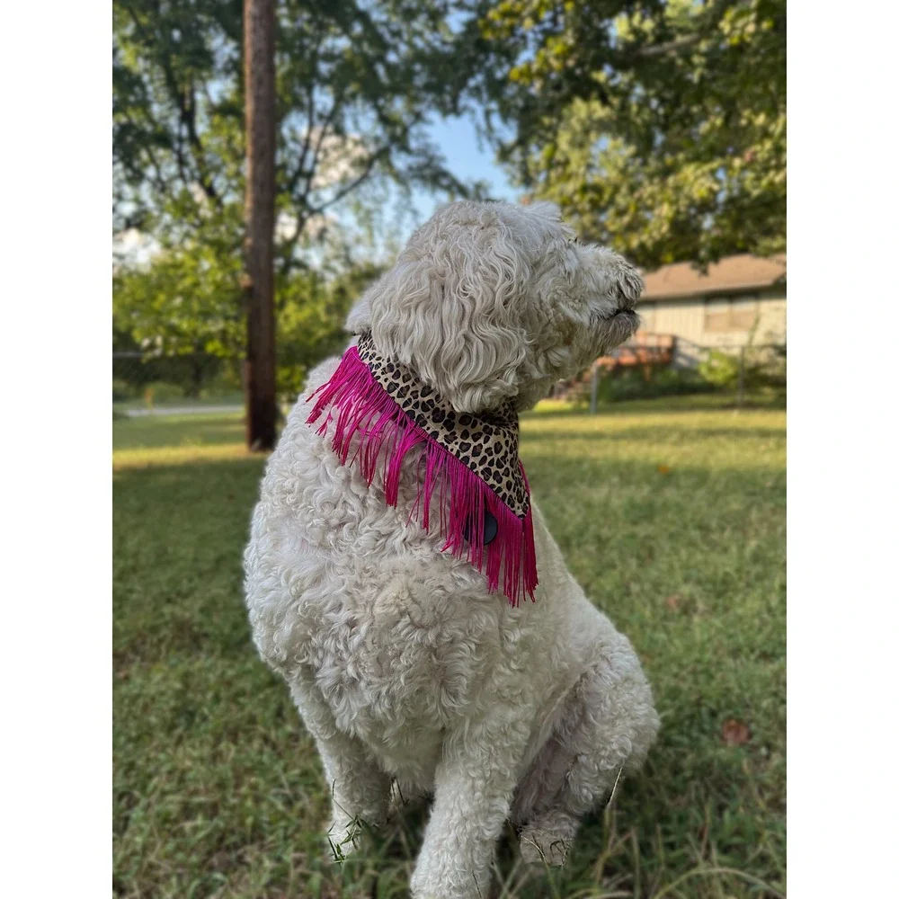 Honky Tonk Hottie Leopard Fringe Dog Bandana Pink Western Handmade Pet Accessory